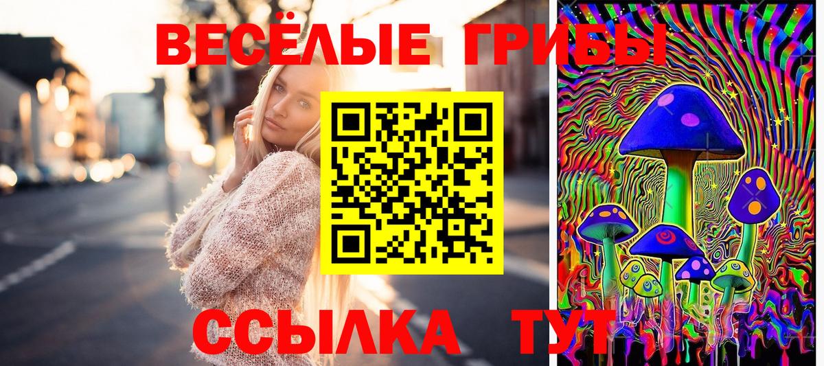 Жигулёвск  Псилоцибиновые грибы мухоморы  Вход с VPN 