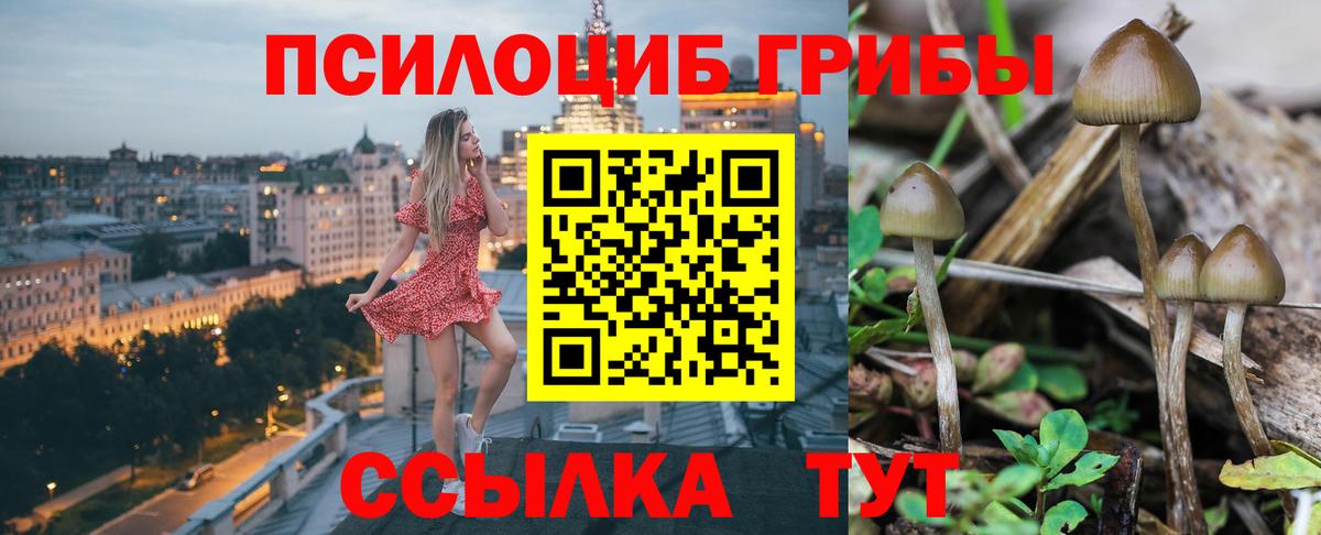 Галлюциногенные грибы прущие грибы Жигулёвск