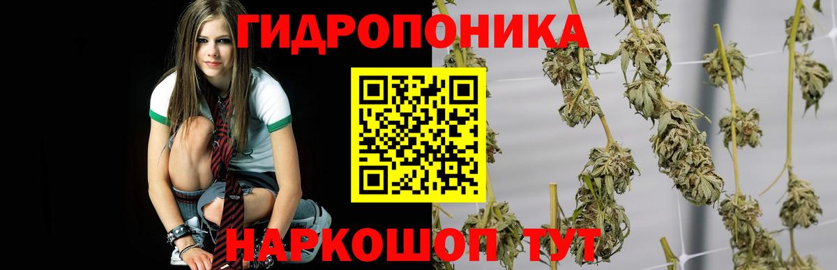 Шишки марихуана тримм Жигулёвск